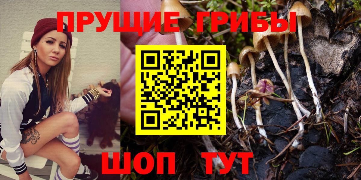 Галлюциногенные грибы Psilocybe  Вход с VPN  сколько стоит  Нижневартовск 