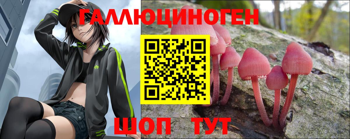 Псилоцибиновые грибы Cubensis Нижневартовск